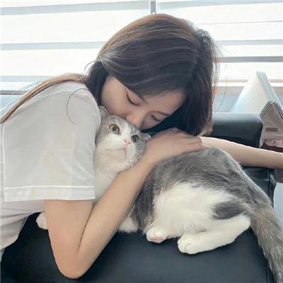 花篮花儿香